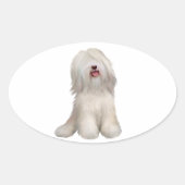 Tibetan Terrier (weiß) Ovaler Aufkleber (Vorderseite)