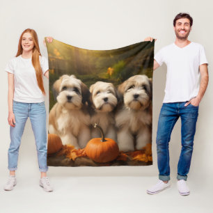 Tibetan Terrier Welpe Herbstfreude Kürbis Fleecedecke