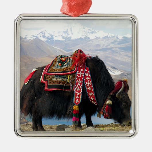 Tibetan Yak Silbernes Ornament (Vorne)
