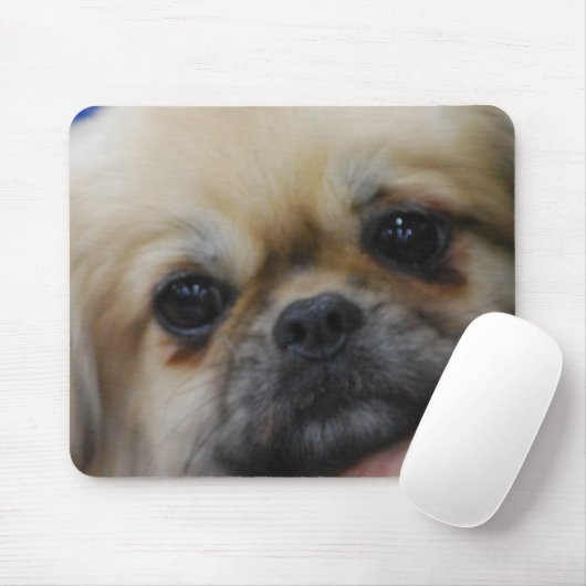Tibetanische Spaniel-Welpen-Mausunterlage Mousepad (Mit Mouse)