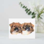 Tibetanische Spaniels-Kopf-Studie Postkarte (Stehend Vorderseite)