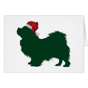 Tibetanischer Spaniel