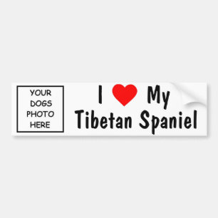 Tibetanischer Spaniel Autoaufkleber