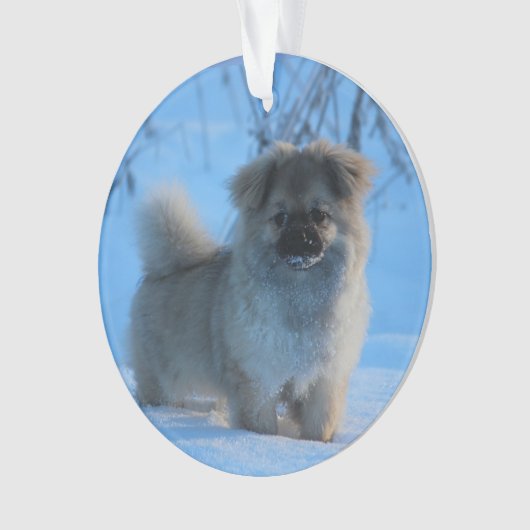 Tibetanischer Spaniel im Schnee Ornament (Vorderseite)