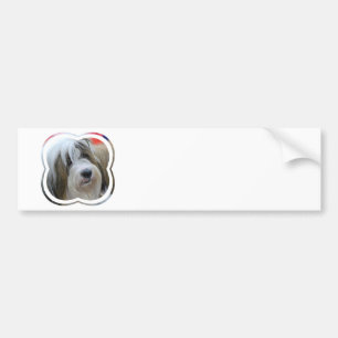 Tibetanischer Terrier-Autoaufkleber Autoaufkleber