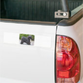 Tibetanisches Terrier Autoaufkleber (Auf Lkw)