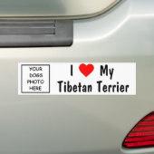 Tibetanisches Terrier Autoaufkleber (Auf Auto)