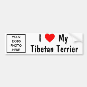 Tibetanisches Terrier Autoaufkleber