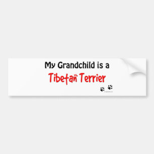 Tibetanisches Terrier-Enkelkind Autoaufkleber