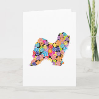 Tibetanisches Terrier Karte