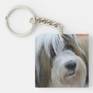 Tibetanisches Terrier Schlüsselanhänger