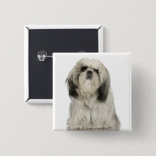 Tibetanisches Terrier-Welpe Button (Vorne & Hinten)