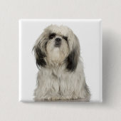 Tibetanisches Terrier-Welpe Button (Vorderseite)