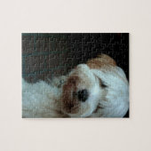 Tibeter 2 puzzle (Horizontal)