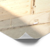 Tibeter Mastiff Poster (Ecke)