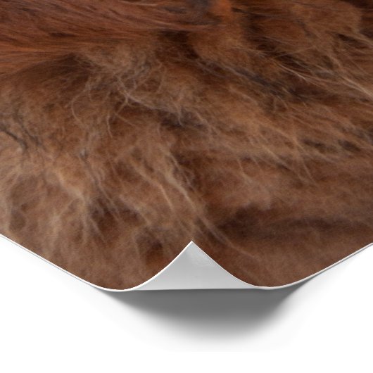 Tibeter Mastiff Poster (Ecke)