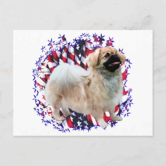 Tibeter Spaniel Patriot Postkarte (Vorderseite)
