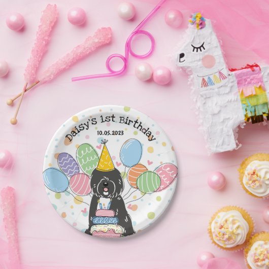 Tibeter Terrier Dog Birthday Party Paper Teller (Party)