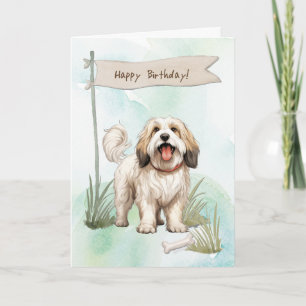 Tibeter Terrier Dog Breed Under Birthday Sign Karte