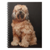 Tibeter-Terrier-Notebook Notizblock (Vorderseite)