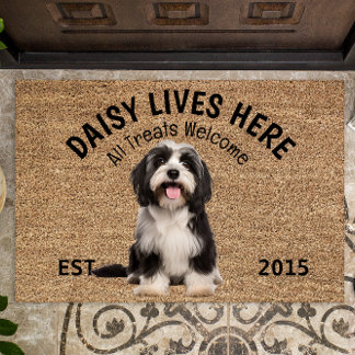 Tibeter Terrier Personalisiert Dog Lover Doormat Fußmatte