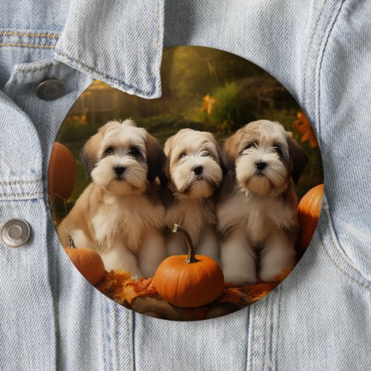 Tibeter Terrier Welpe Herbst Kürbis Button (Beispiel)