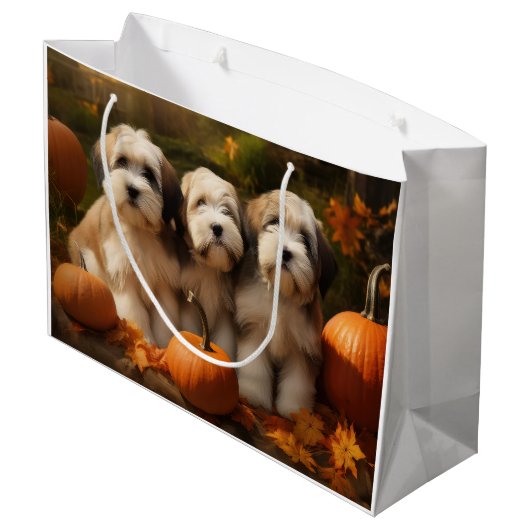 Tibeter Terrier Welpe Herbst Kürbis Große Geschenktüte (Rückseite Schrägansicht)