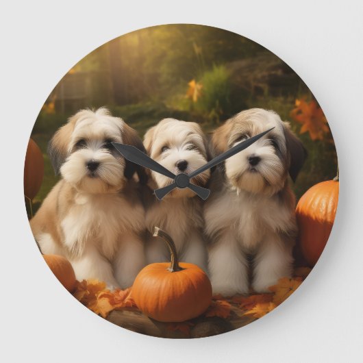Tibeter Terrier Welpe Herbst Kürbis Große Wanduhr (Vorderseite)