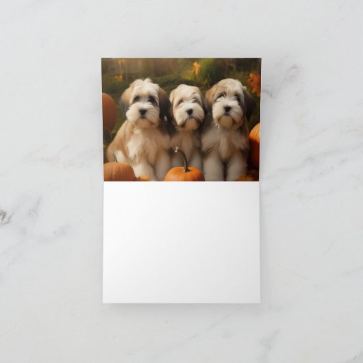 Tibeter Terrier Welpe Herbst Kürbis Karte (Innenseite)