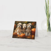 Tibeter Terrier Welpe Herbst Kürbis Karte (Vorderseite)