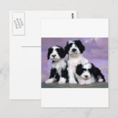 Tibetergebiete Postkarte (Vorne/Hinten)