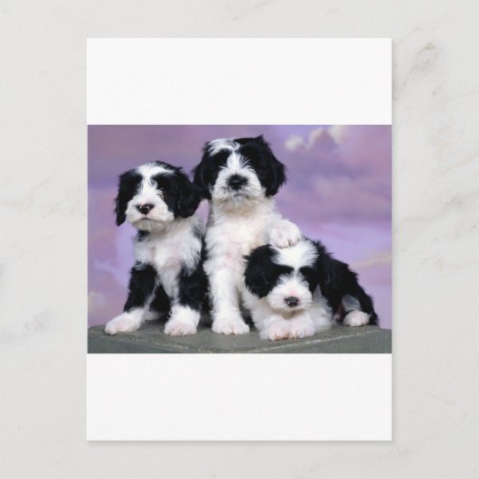 Tibetergebiete Postkarte (Vorderseite)