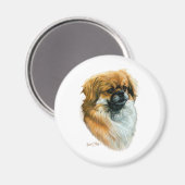 Tibetisch-Spaniel Magnet (Vorderseite/Rückseite)