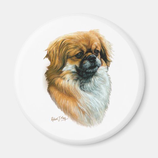 Tibetisch-Spaniel Magnet (Vorne)