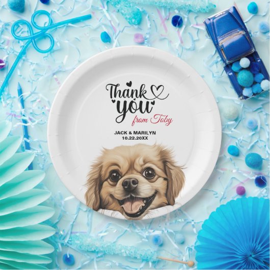 Tibetisch-Spaniel Pappteller (Party)