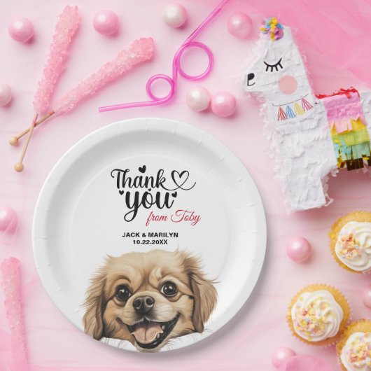 Tibetisch-Spaniel Pappteller (Party)