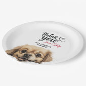 Tibetisch-Spaniel Pappteller (Schrägansicht)