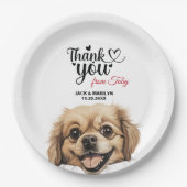 Tibetisch-Spaniel Pappteller (Vorderseite)