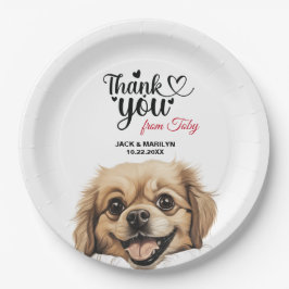 Tibetisch-Spaniel Pappteller