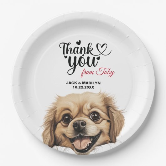 Tibetisch-Spaniel Pappteller (Vorderseite)