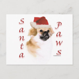 Tibetisch-Spaniel Santa Paws Feiertagspostkarte