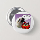 Tibetisch-Spanisch Halloween Candy Button (Vorne & Hinten)