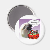 Tibetisch-Spanisch Halloween Candy Magnet (Vorderseite/Rückseite)