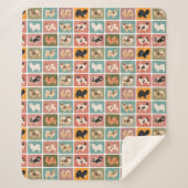 Tibetisch-Spanisch Mehrfarbig Sherpa Blanket Sherpadecke (Vorderseite)