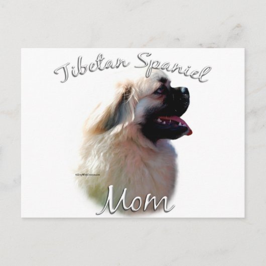 Tibetisch-Spanische Mama 2 Postkarte (Vorderseite)