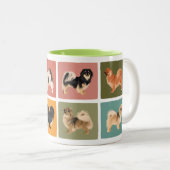 Tibetisch-Spanische Tasse Tibbie Style (VorderseiteRechts)