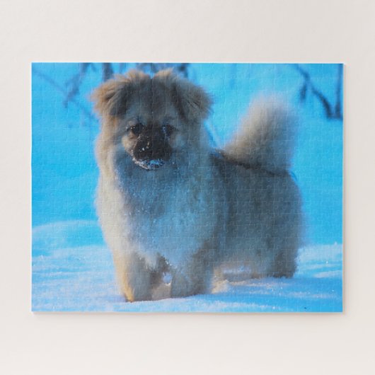 Tibetisch-Spanischer Hund Jigsaws Puzzle (Horizontal)