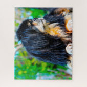 Tibetisch Spanischer Hund Jigsaws. Puzzle (Vertikal)