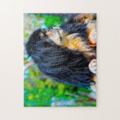 Tibetisch Spanischer Hund Jigsaws. Puzzle (Vertikal)
