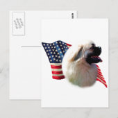 tibetische Flagge Postkarte (Vorne/Hinten)